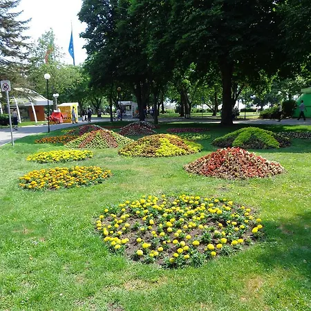 Appartamento Alyosha *