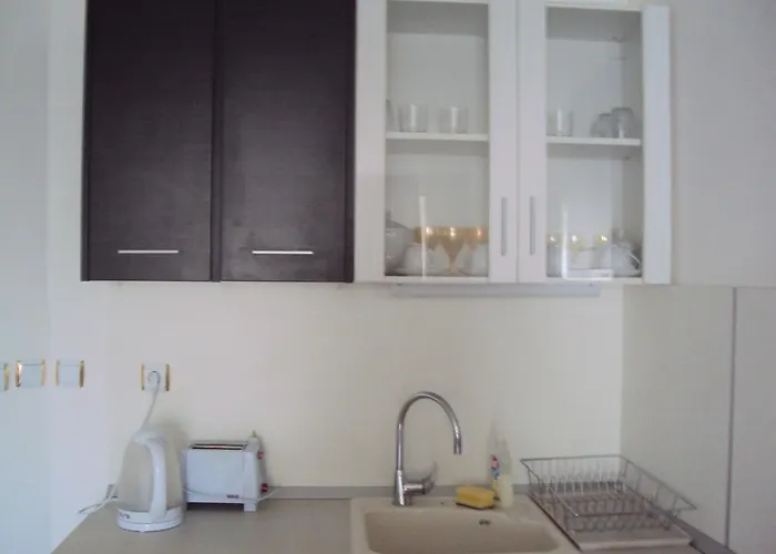 Alyosha * Burgas City